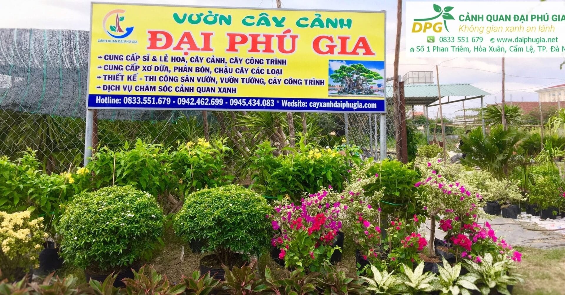 Cây Cảnh Đại Phú Gia