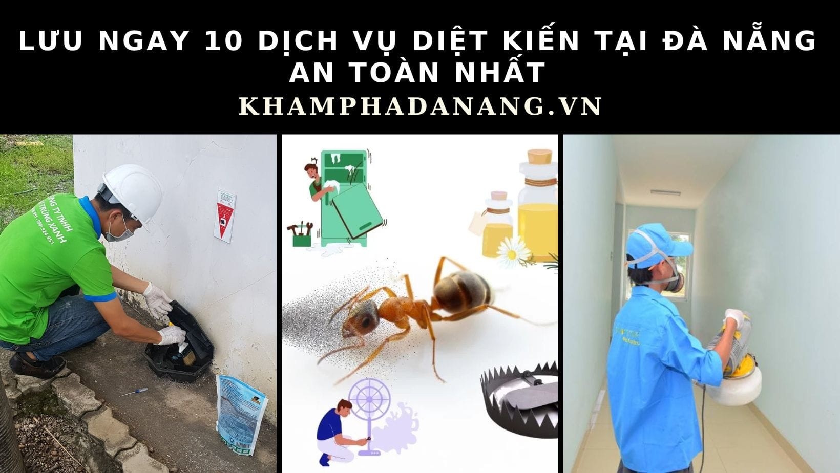 dịch vụ diệt kiến tại Đà Nẵng